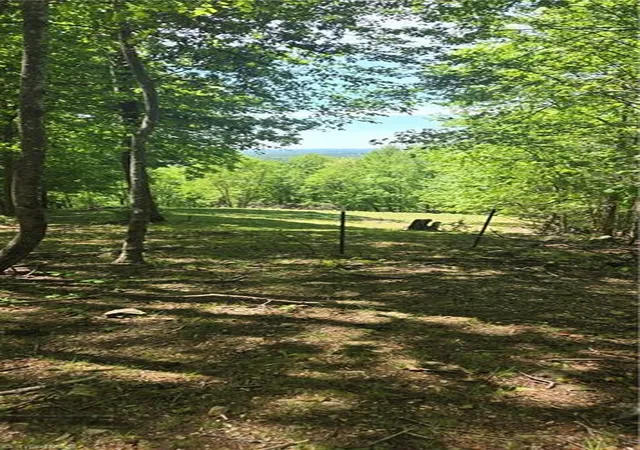 Photo 2 of Land for sale at 00 Goose Crk Ln, Ararat, VA 24053 | MLS# 1224426 | Listing updated on 2026-06-13