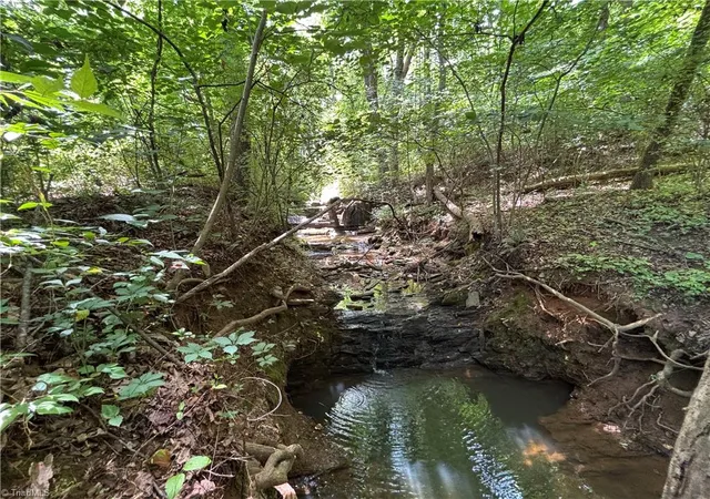 4th image of 460 Greene Rd, Dobson, NC 27017 | MLS# 1224966