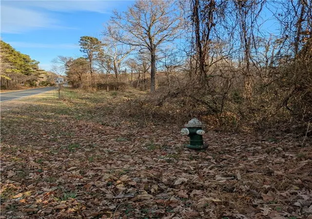 2nd image of 238 Spur Rd, Greensboro, NC 27406 | MLS# 1203543