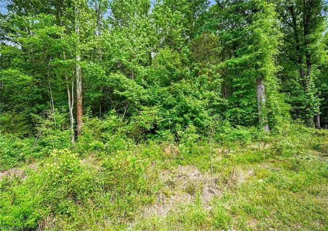 5th image of 00 Belmont Rd, Linwood, NC 27299 | MLS# 1217870
