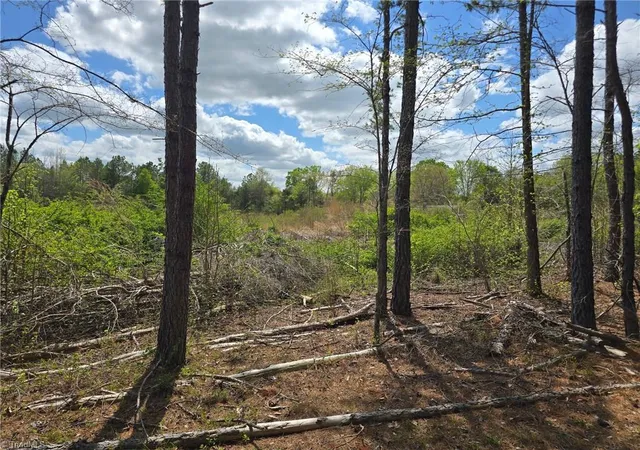 Photo 12 of Land for sale at 0 Riverside Rd, Seagrove, NC 27341 | MLS# 1217096 | Listing updated on 2026-08-13