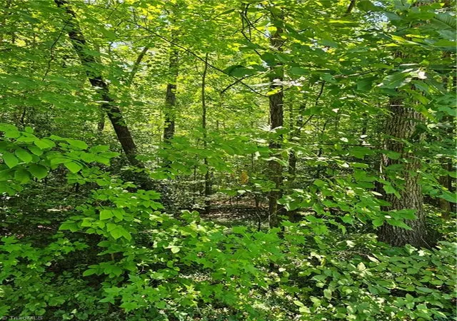 2nd image of Lot 408 Pine Rd, Lexington, NC 27292 | MLS# 1229422