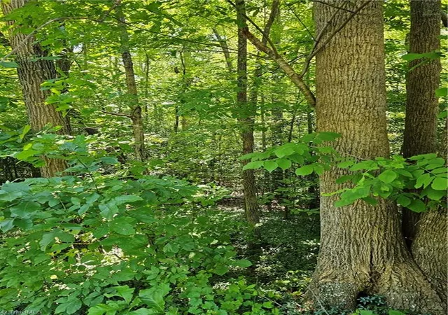 3rd image of Lot 408 Pine Rd, Lexington, NC 27292 | MLS# 1229422