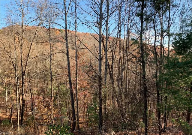 Photo 1 of Land for sale at Tbd (lot 4) Wolf Den Ln, Lenoir, NC 28645 | MLS# 1210226 | Listing updated on 2026-02-25
