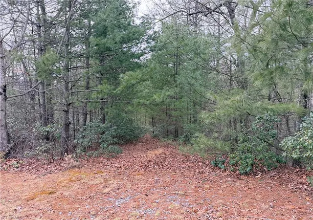 Photo 2 of Land for sale at Tbd (lot 4) Wolf Den Ln, Lenoir, NC 28645 | MLS# 1210226 | Listing updated on 2026-02-25