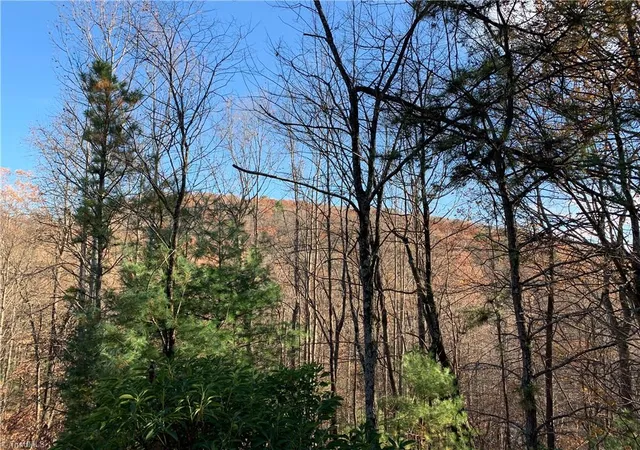 Photo 3 of Land for sale at Tbd (lot 4) Wolf Den Ln, Lenoir, NC 28645 | MLS# 1210226 | Listing updated on 2026-02-25