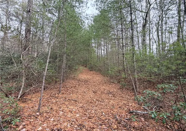 Photo 4 of Land for sale at Tbd (lot 4) Wolf Den Ln, Lenoir, NC 28645 | MLS# 1210226 | Listing updated on 2026-02-25