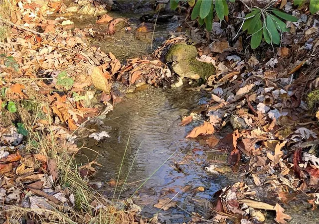 Photo 5 of Land for sale at Tbd (lot 4) Wolf Den Ln, Lenoir, NC 28645 | MLS# 1210226 | Listing updated on 2026-02-25