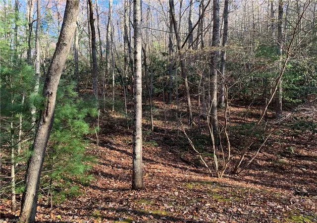 Photo 12 of Land for sale at Tbd (lot 1) Dugger Firetower Rd, Lenoir, NC 28645 | MLS# 1210224 | Listing updated on 2026-02-25
