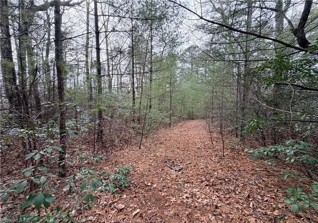 Photo 2 of Land for sale at Tbd (lot 1) Dugger Firetower Rd, Lenoir, NC 28645 | MLS# 1210224 | Listing updated on 2026-02-25