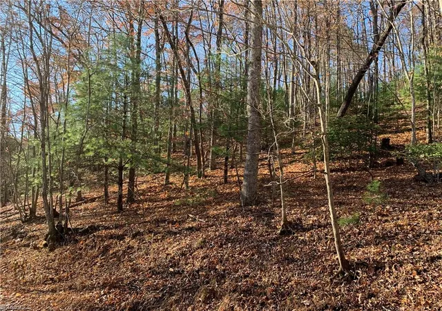 Photo 4 of Land for sale at Tbd (lot 1) Dugger Firetower Rd, Lenoir, NC 28645 | MLS# 1210224 | Listing updated on 2026-02-25