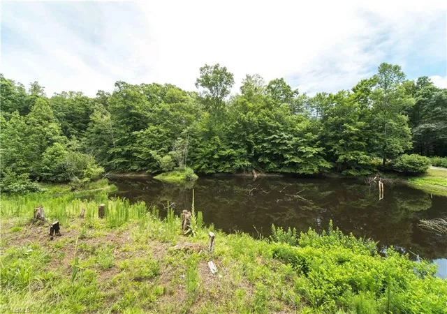 Homes for sale in Pinnacle, NC | 1068 Nathan Ln, Pinnacle, NC 27043 | MLS# 1225714