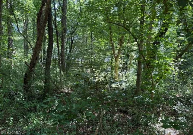 Photo 2 of Land for sale at 0 S Mineral Springs Dr, Jonesville, NC 28642 | MLS# 1233207 | Listing updated on 2026-08-23