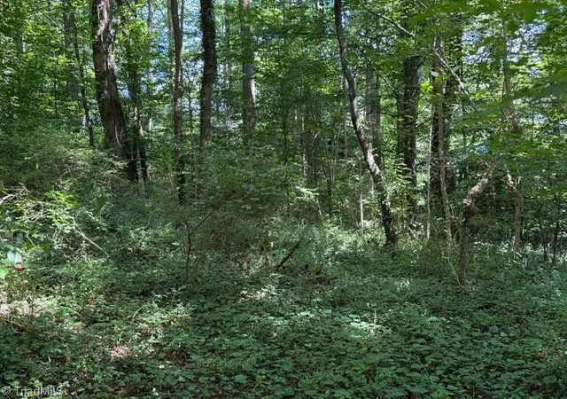 Photo 3 of Land for sale at 0 S Mineral Springs Dr, Jonesville, NC 28642 | MLS# 1233207 | Listing updated on 2026-08-23