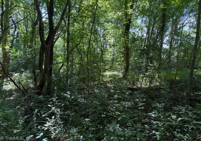 Photo 4 of Land for sale at 0 S Mineral Springs Dr, Jonesville, NC 28642 | MLS# 1233207 | Listing updated on 2026-08-23
