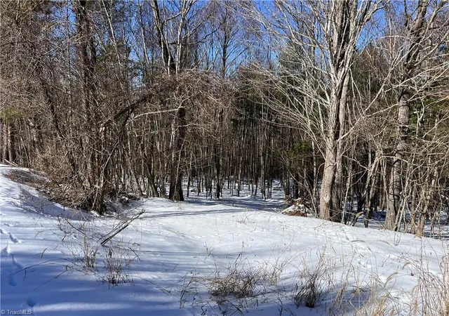 Photo 2 of Land for sale at Tbd (lots 13 & 14) Timberwilde Dr, Laurel Springs, NC 28644 | MLS# 1216075 | Listing updated on 2026-08-13