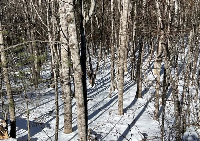 Photo 4 of Land for sale at Tbd (lots 13 & 14) Timberwilde Dr, Laurel Springs, NC 28644 | MLS# 1216075 | Listing updated on 2026-08-13