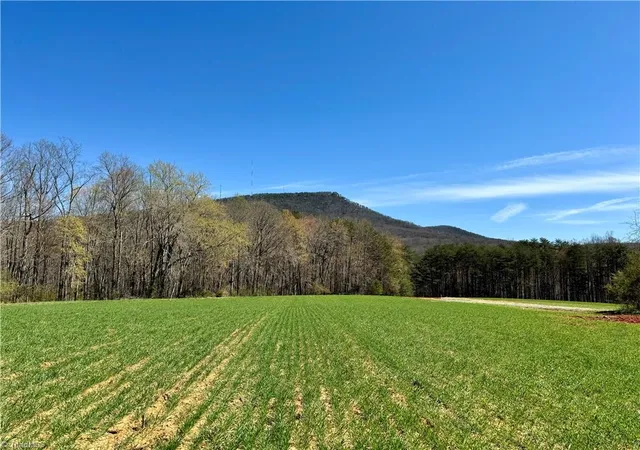 Homes for sale in Pinnacle, NC | 6 Old Mill Rd, Pinnacle, NC 27043 | MLS# 1224304