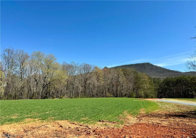 Homes for sale in Pinnacle, NC | 6 Old Mill Rd, Pinnacle, NC 27043 | MLS# 1224304