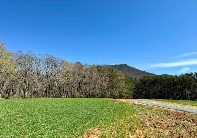 Homes for sale in Pinnacle, NC | 6 Old Mill Rd, Pinnacle, NC 27043 | MLS# 1224304