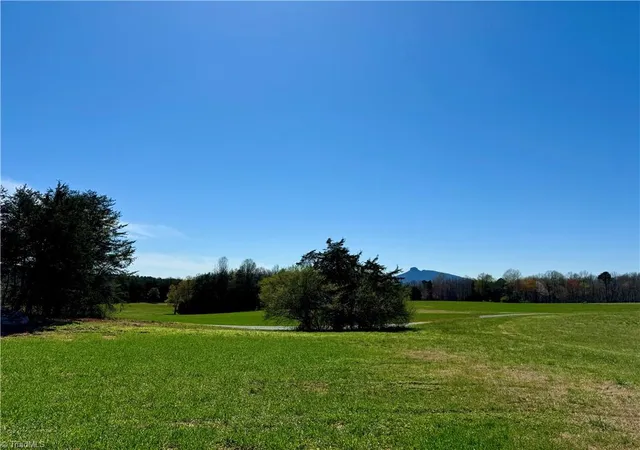 Homes for sale in Pinnacle, NC | 6 Old Mill Rd, Pinnacle, NC 27043 | MLS# 1224304