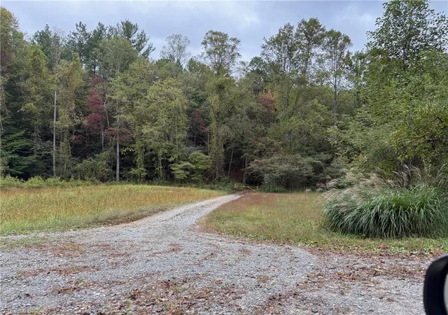 Homes for sale in Thurmond, NC | Tbd Royall Rd, Thurmond, NC 28683 | MLS# 1199531
