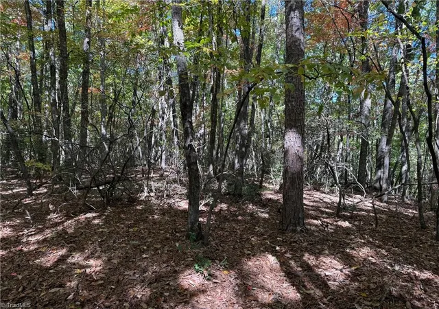 Homes for sale in Thurmond, NC | Tbd Royall Rd, Thurmond, NC 28683 | MLS# 1199531