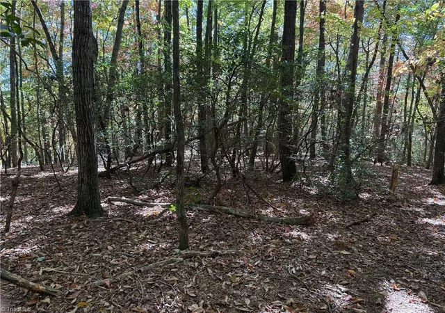 Homes for sale in Thurmond, NC | Tbd Royall Rd, Thurmond, NC 28683 | MLS# 1199531