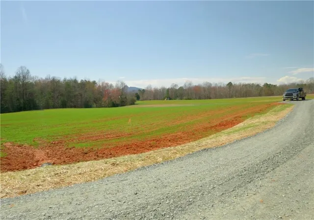 Homes for sale in Pinnacle, NC | 3-4 Old Mill Rd, Pinnacle, NC 27043 | MLS# 1225943