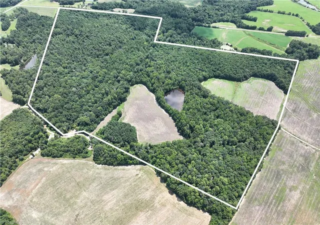 Photo 2 of Land for sale at 0 Candy Creek Rd, Reidsville, NC 27320 | MLS# 1152060 | Listing updated on 2026-09-11