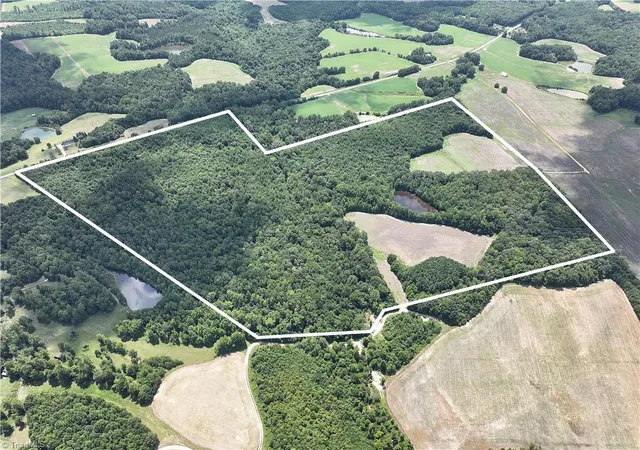 Photo 3 of Land for sale at 0 Candy Creek Rd, Reidsville, NC 27320 | MLS# 1152060 | Listing updated on 2026-09-11