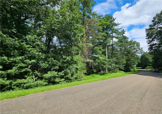 Homes for sale in Glade Valley, NC | Tbd Holly Run, Glade Valley, NC 28627 | MLS# 1189105