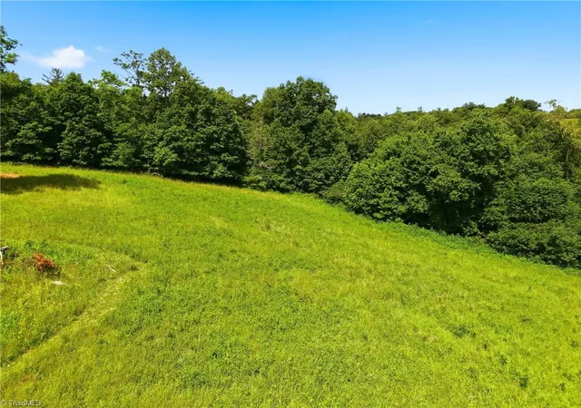 Homes for sale in Wilkesboro, NC | Tbd Harris Rd, Wilkesboro, NC 28697 | MLS# 1226813