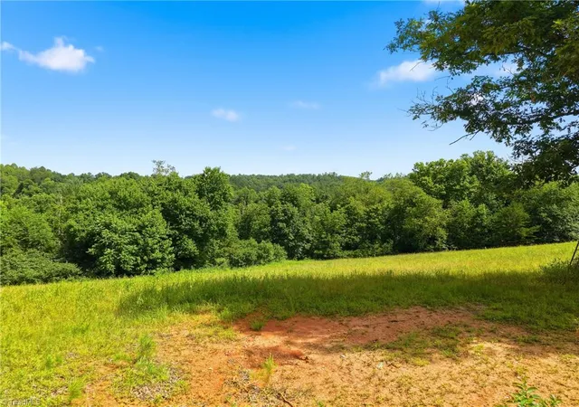 Homes for sale in Wilkesboro, NC | Tbd Harris Rd, Wilkesboro, NC 28697 | MLS# 1226813