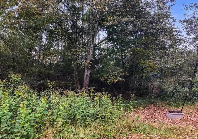 Photo 14 of Land for sale at 0 E Main St, Elkin, NC 28621 | MLS# 1198487 | Listing updated on 2026-04-09