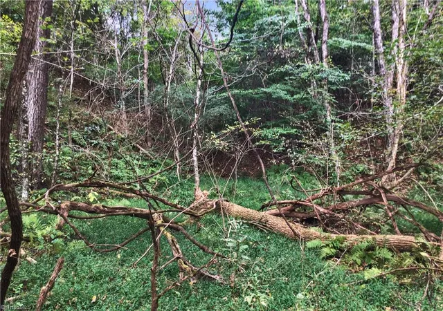 Photo 5 of Land for sale at 0 E Main St, Elkin, NC 28621 | MLS# 1198487 | Listing updated on 2026-04-09