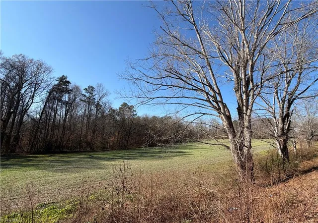 1st image of 00 Conrad Rd, Lewisville, NC 27023 | MLS# 1203639