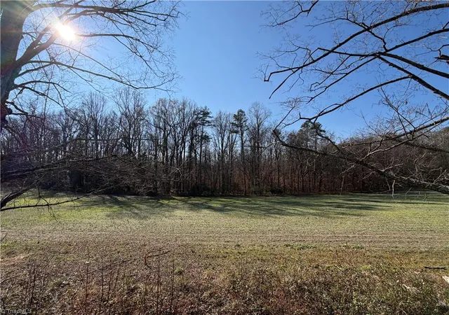 2nd image of 00 Conrad Rd, Lewisville, NC 27023 | MLS# 1203639