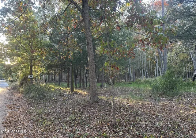 Photo 3 of Land for sale at 1076 S Main St, West Creek, NJ 08092 | MLS# 22531957 | Listing updated on 2026-07-01