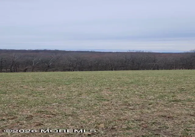 Homes for sale in Wantage, NJ | 0 County Road 519, Wantage, NJ 07461 | MLS# 22605720