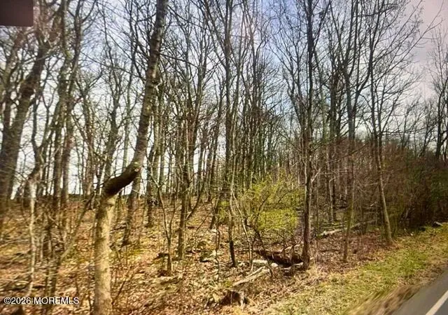Homes for sale in Wantage, NJ | 0 County Road 519, Wantage, NJ 07461 | MLS# 22605720