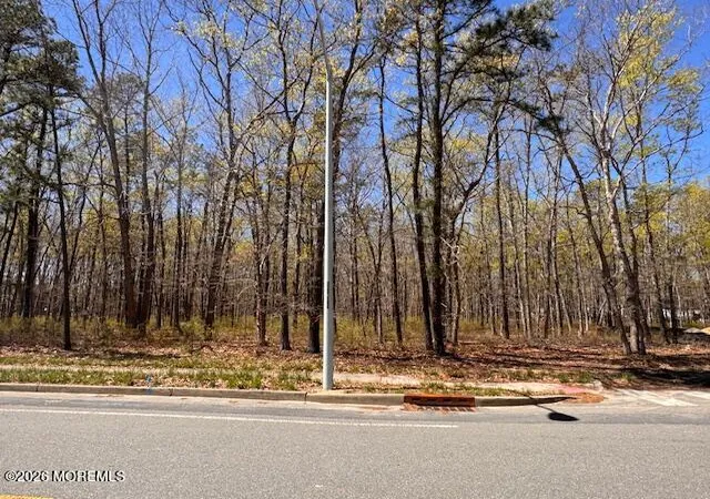 Homes for sale in Forked River, NJ | 0 Newark Ave, Forked River, NJ 08731 | MLS# 22612119