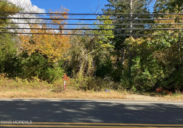 12th image of 93 Toms River Rd, Jackson, NJ 08527 | MLS# 22614021