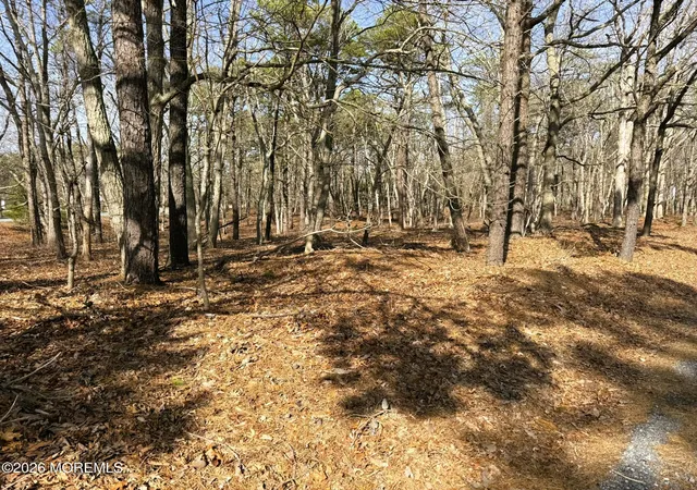 Photo 3 of Land for sale at 17 Pinewood Dr, Little Egg Harbor Twp, NJ 08087 | MLS# 22614518 | Listing updated on 2026-07-25