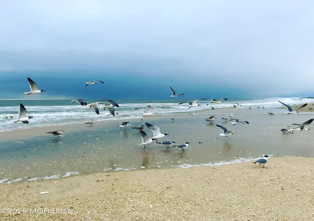 Homes for sale in Point Pleasant Beach, NJ | 1403 Ocean Front, Point Pleasant Beach, NJ 08742 | MLS# 22619282