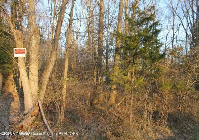 1st image of 217 Brookville Rd, Lacey, NJ 08734 | MLS# 22626832