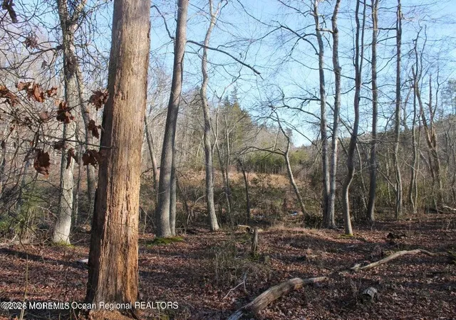 3rd image of 217 Brookville Rd, Lacey, NJ 08734 | MLS# 22626832