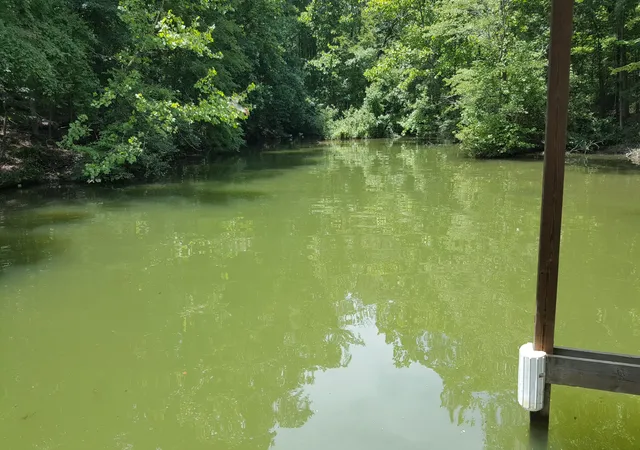Photo 1 of Land for sale at Lot 108 Treasure Tree Rd, Ten Mile, TN 37880 | MLS# 1008699 | Listing updated on 2026-06-19