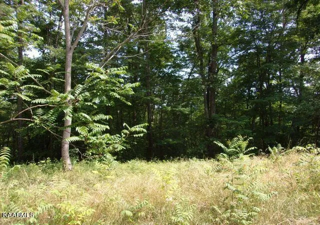 Photo 1 of Land for sale at Lot 254 Marble Point Way, New Tazewell, TN 37825 | MLS# 1182692 | Listing updated on 2026-08-10