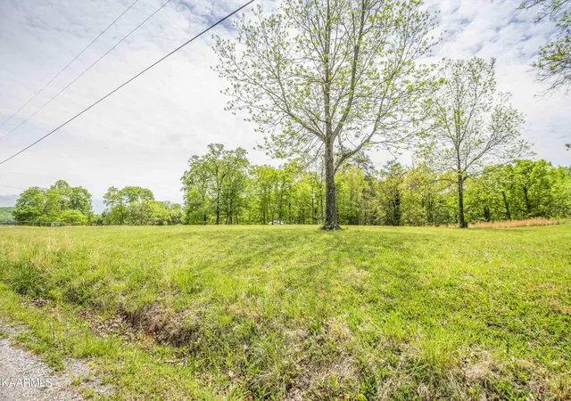 Photo 4 of Sale Pending at Lot 238 Hickory Dr, Spring City, TN 37381 | MLS# 1189079 | Listing updated on 2026-07-25
